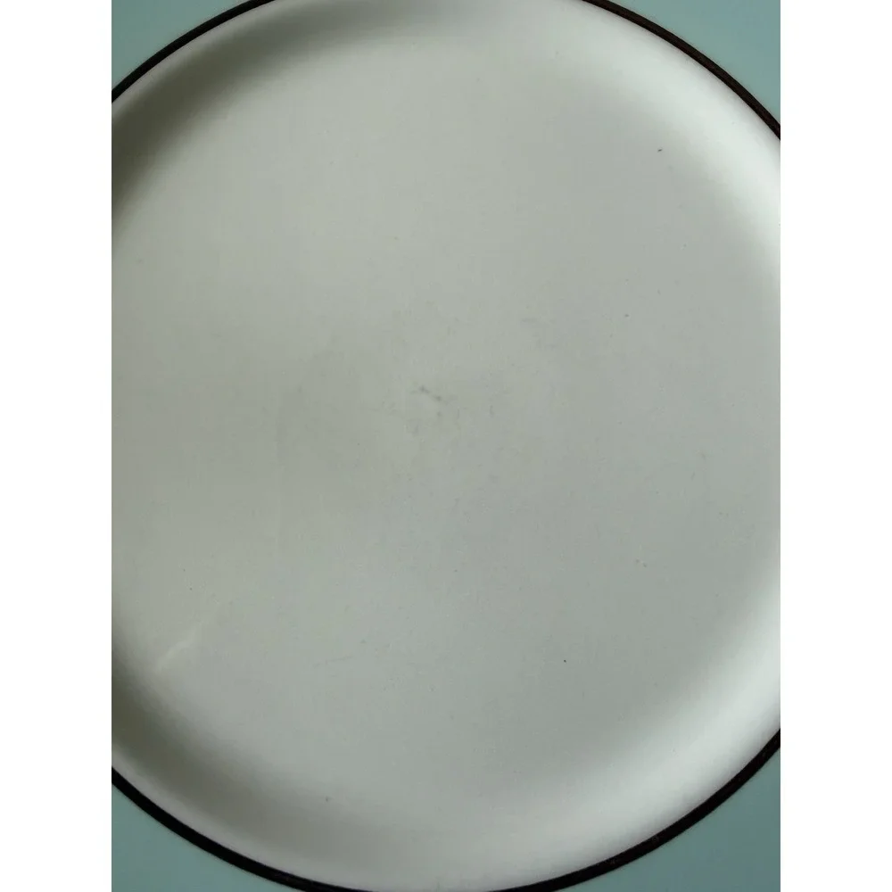 2 Crate & Barrel Pagnossin Audrey Robin's Egg Blue Dinner Plates 10 3/4